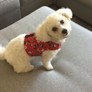Small Dog Harness Vest Handmade Red Black